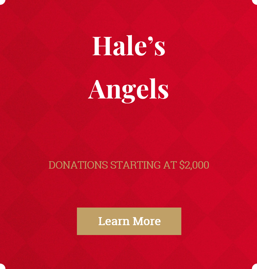 Hale's Angels -- Learn More